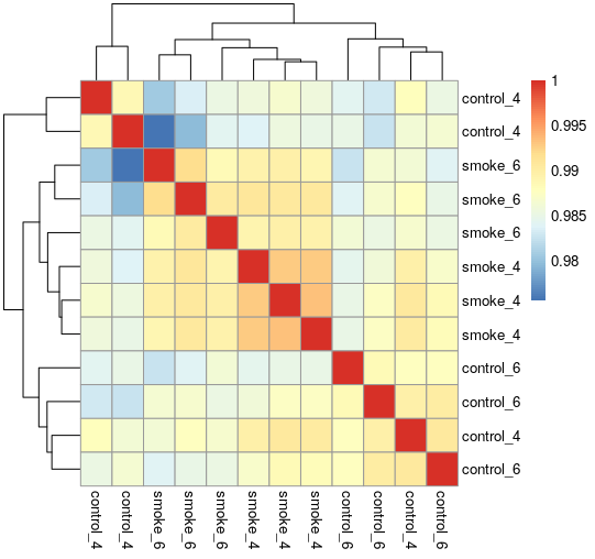 phylogenetic