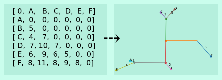 phylogenetic