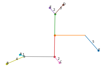 phylogenetic